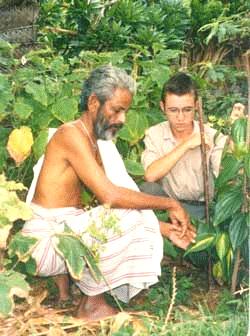 Mudiyanse Tennekoon